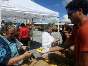 Feeding South Florida